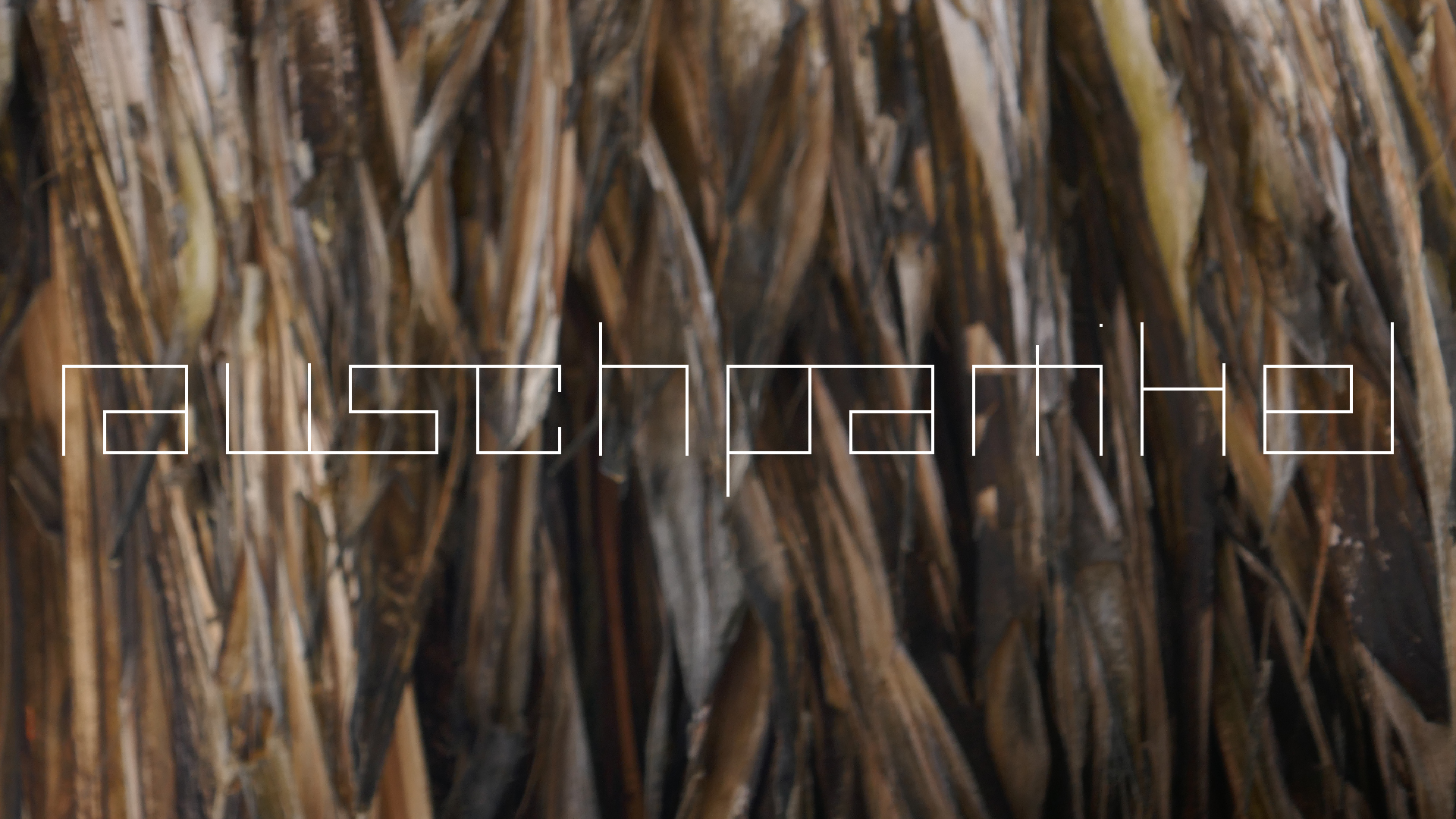 2022-10-29 13 Uhr 27 Playa Kalki (Foto, Video)